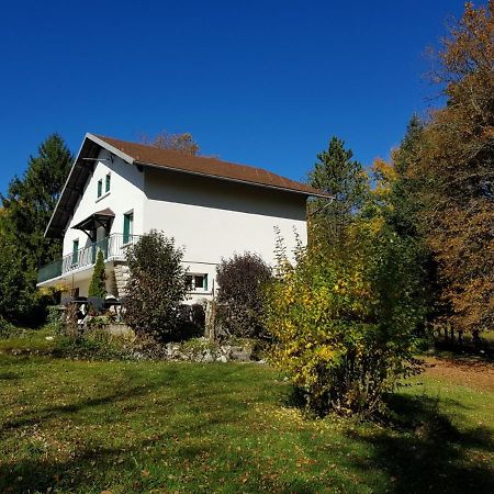 Gite Grande Capacite Au Calme Circuit Cascades Du Herisson Bonlieu Dış mekan fotoğraf