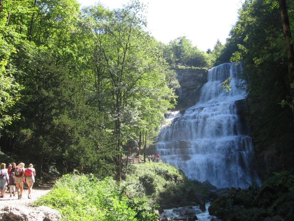 Gite Grande Capacite Au Calme Circuit Cascades Du Herisson Bonlieu Dış mekan fotoğraf